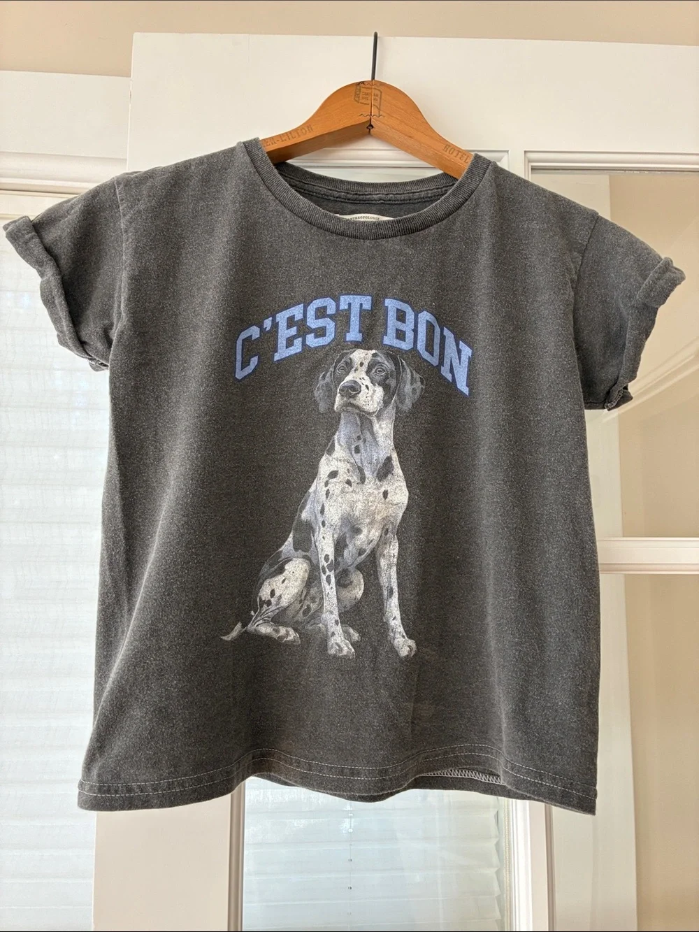 Anthropologie Gray Dalmatian Graphic Dog Tee